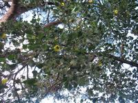 Besuch des Botanischen Garten 