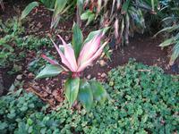 Besuch des Botanischen Garten 