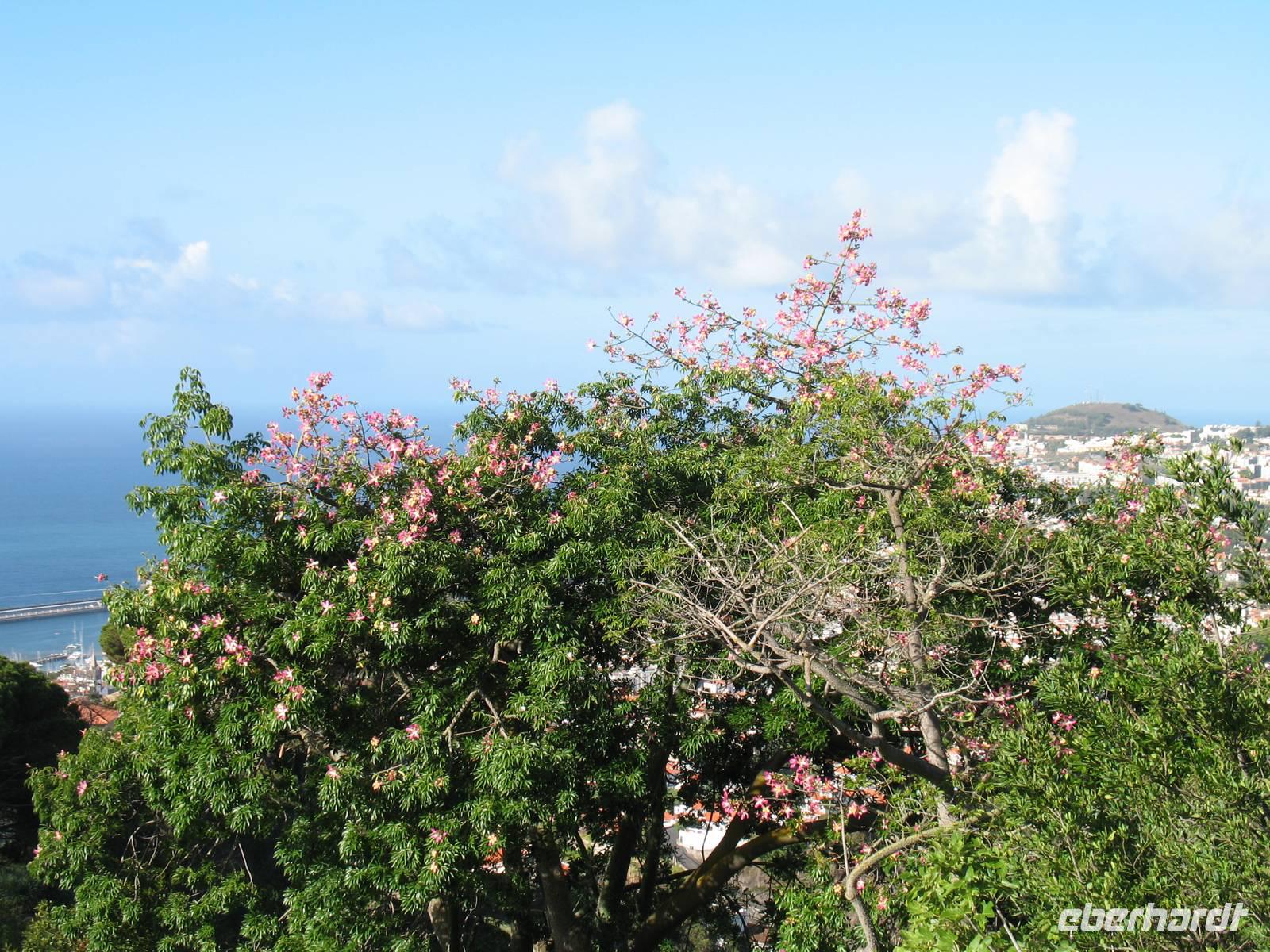 Besuch des Botanischen Garten 