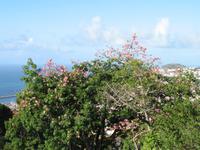 Besuch des Botanischen Garten 