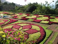 Besuch des Botanischen Garten 