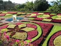 Besuch des Botanischen Garten 