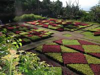 Besuch des Botanischen Garten 
