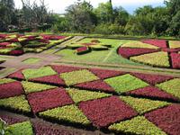 Besuch des Botanischen Garten 