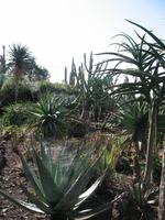 Besuch des Botanischen Garten 