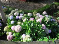 Besuch des Botanischen Garten 