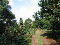 Besuch des Botanischen Garten 