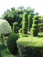 Besuch des Botanischen Garten 