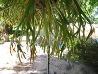 Besuch des Botanischen Garten 