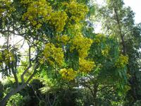 Besuch des Botanischen Garten 