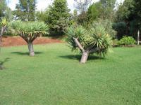 Besuch des Botanischen Garten 