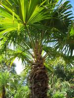 Besuch des Botanischen Garten 