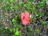 Besuch des Botanischen Garten 