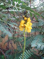 Besuch des Botanischen Garten 