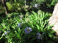 Wallfahrtskirche und Korbschlittenfahrt in Monte
