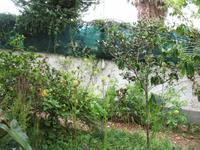 Besuch bei Esmeralda in ihrem Kräutergarten 