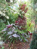 Besuch bei Esmeralda in ihrem Kräutergarten 