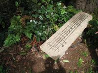 Besuch bei Esmeralda in ihrem Kräutergarten 