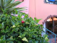 Private Führung durch Botanischen Garten im Hotel Quinta Splendida