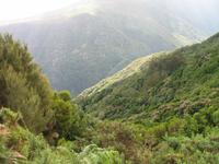 Fahrt nach Porto Moniz