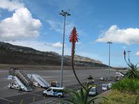 Flughafen in Funchal