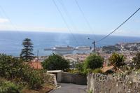 Blick vom Orchideengarten auf den Hafen