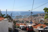 Blick vom Orchideengarten auf den Hafen_2
