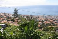 Blick vom Orchideengarten aufs Meer_4