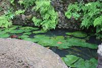 Botanischer Garten_10