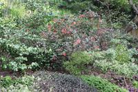 Botanischer Garten_11