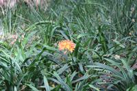 Botanischer Garten_13