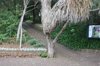 Botanischer Garten_18