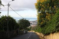 Botanischer Garten_2