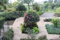 Botanischer Garten_20