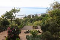 Botanischer Garten_21