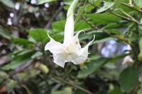 Botanischer Garten_22