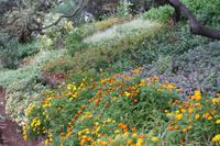 Botanischer Garten_23