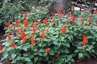 Botanischer Garten_24