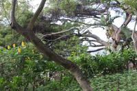 Botanischer Garten_27