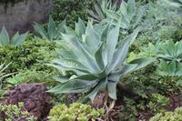 Botanischer Garten_29