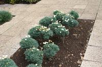 Botanischer Garten_31