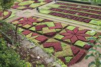 Botanischer Garten_34