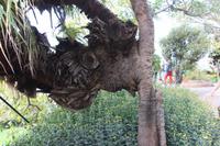 Botanischer Garten_35