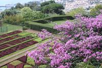 Botanischer Garten_37