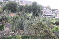 Botanischer Garten_38