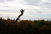 Botanischer Garten_39