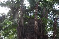 Botanischer Garten_4