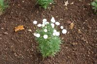 Botanischer Garten_40