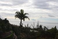 Botanischer Garten_44