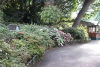 Botanischer Garten_5